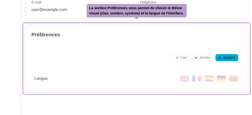 La section Préférences vous permet de choisir le thème visuel (clair, sombre, système) et la langue de l'interface.