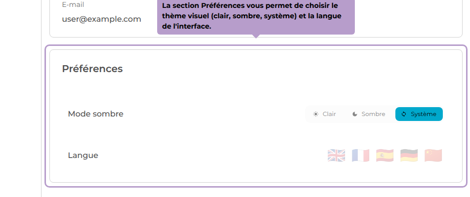 La section Préférences vous permet de choisir le thème visuel (clair, sombre, système) et la langue de l'interface.