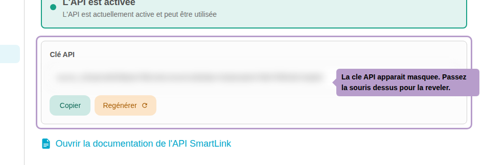 La cle API apparait masquee. Passez la souris dessus pour la reveler.