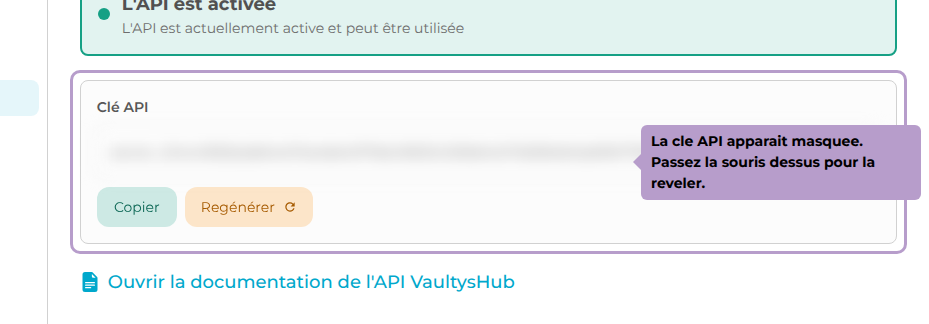 La cle API apparait masquee. Passez la souris dessus pour la reveler.